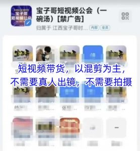 宝子哥头部团队短视频带货,以混剪为主,不需要真人出镜,不需要拍摄【更新12月】-致富资源库