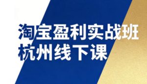 淘宝盈利实战班杭州线下课12月26-28日（音频+字幕），帮你掌握SOP流程+12门核心技术-致富资源库
