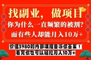 价值3980的网创内部课程,告诉你互联网创业月入10个W的秘密【揭秘】-致富资源库
