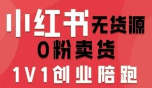 小红书无货源0粉电商课,开店准备、选品策略、笔记撰写、视频剪辑、数据分析、账号打造、资料文档(更新)-致富资源库
