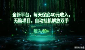 最新看广平台，每天保底30-4米，无脑项目，自动挂G解放双手【揭秘】-致富资源库